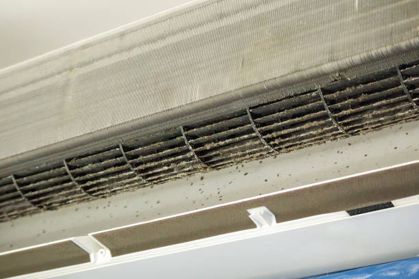 Best Affordable Duct Cleaning Services  in Sylvester, GA