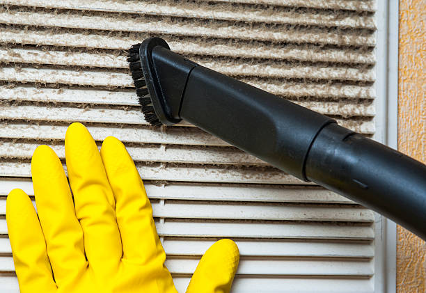 Best Home Air Vent Cleaning  in Sylvester, GA